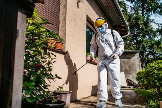 Best Flea Control Services  in Hebron Estates, KY