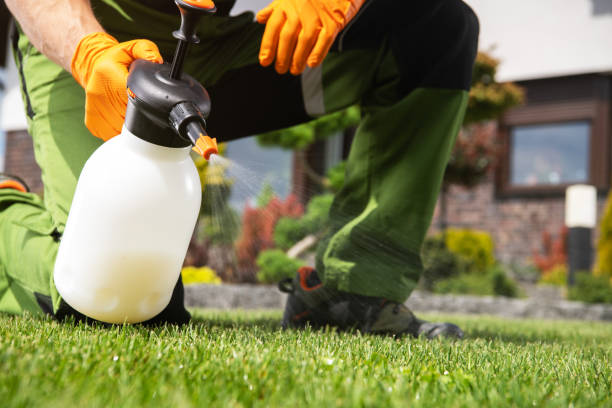 Best Ant Control Services  in Hebron Estates, KY