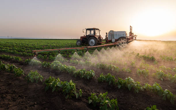 Best Mosquito Control Services  in Hebron Estates, KY
