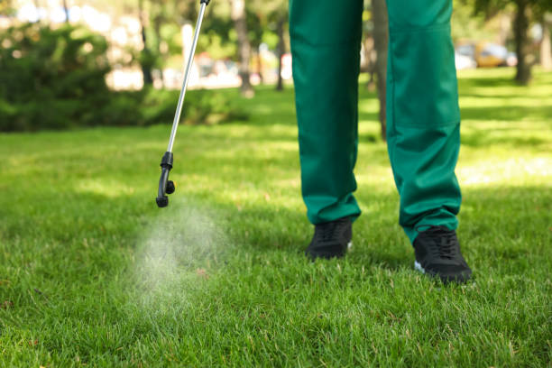 Best Affordable Pest Control Services  in Hebron Estates, KY