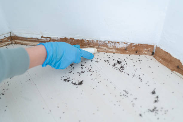 Best Commercial Pest Control Services  in Hebron Estates, KY