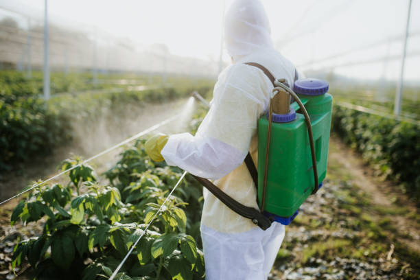 Best Wildlife Control Services  in Hebron Estates, KY